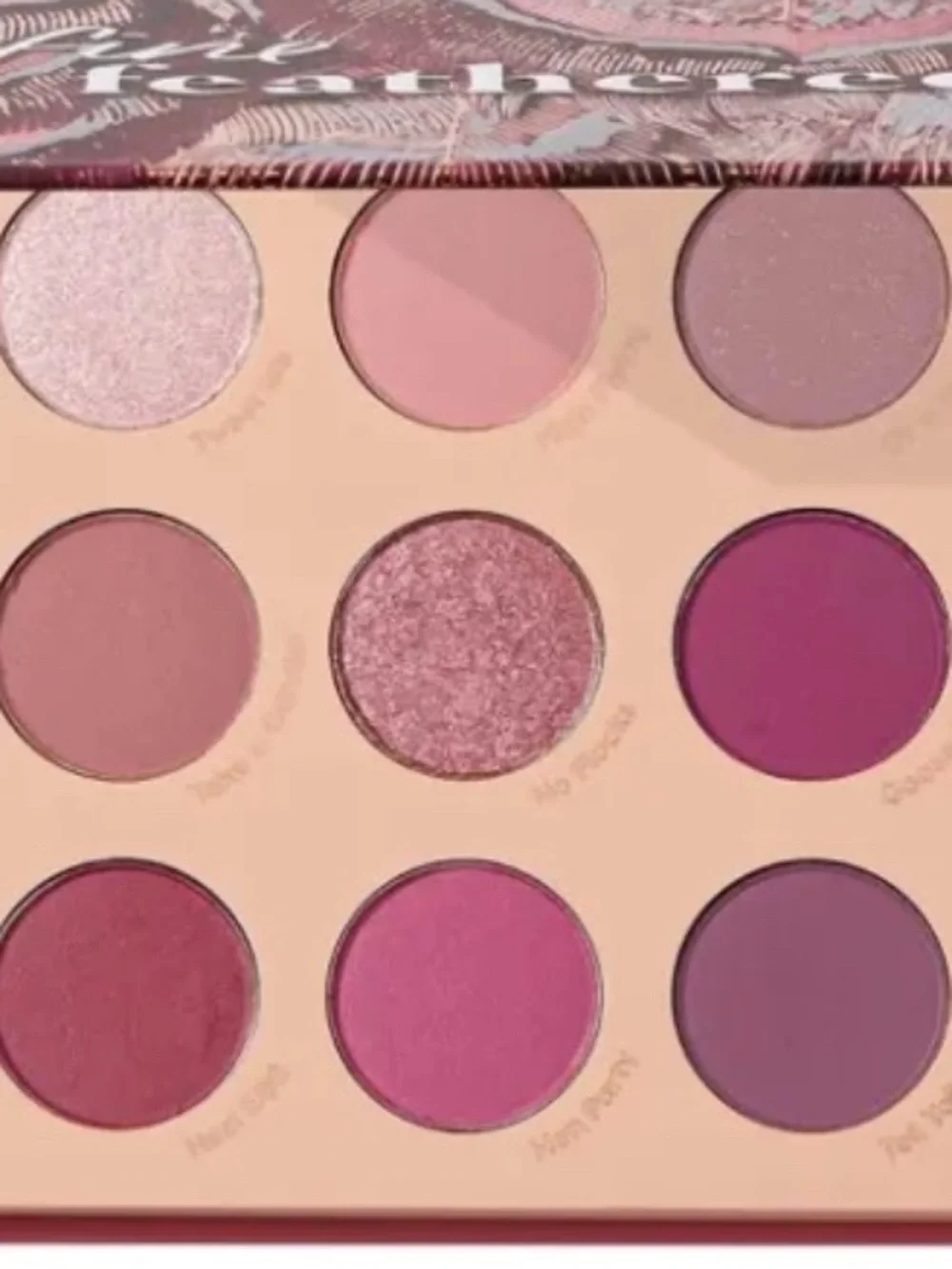Colourpop spread your